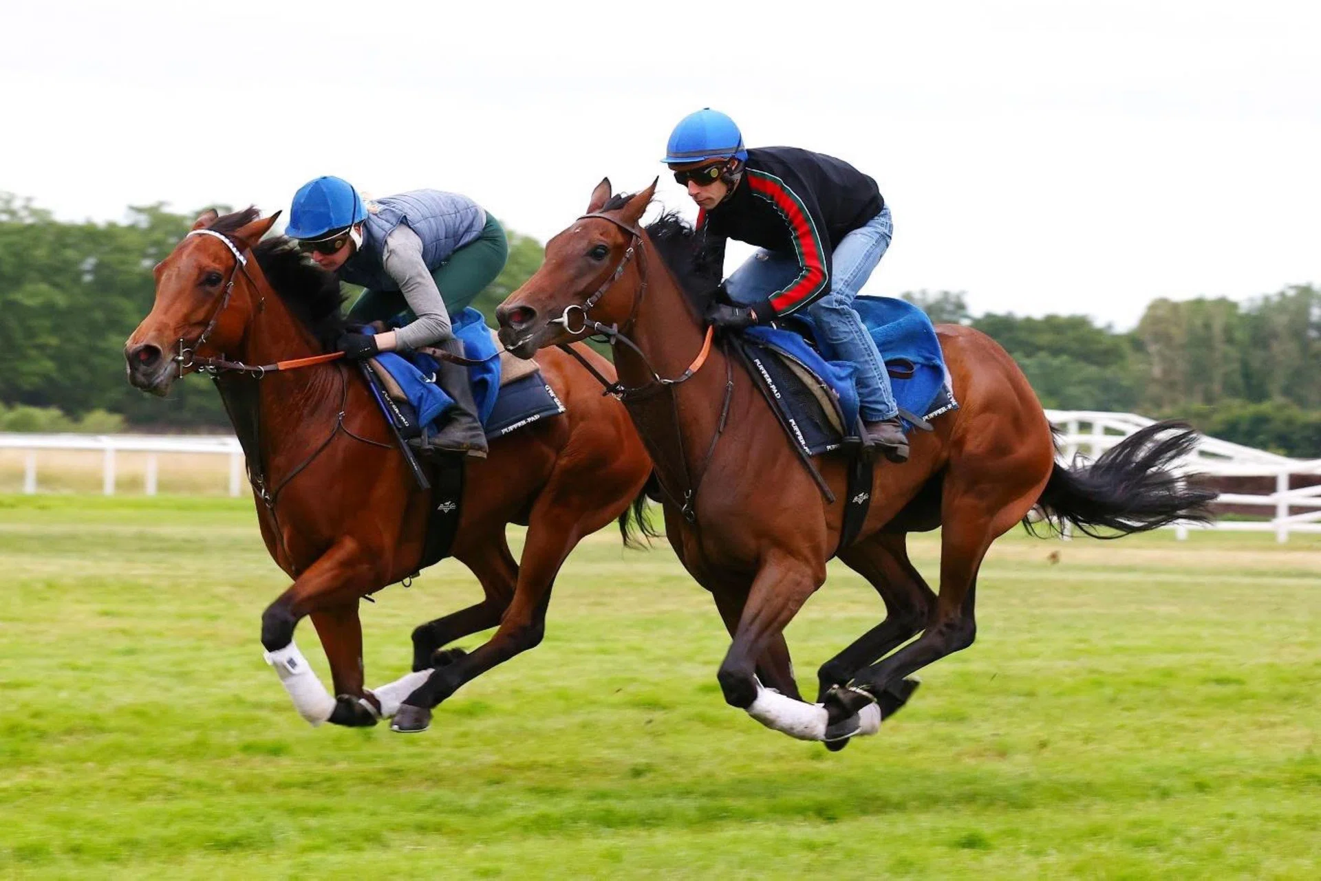 Prix de Diane contender Zia Agnese (Ronan Thomas, dark jacket) working alongside a stablemate in a track gallop at Maisons-Laffitte on June 4.
