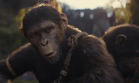 Director drew inspiration from Akira Kurosawa for Kingdom Of The Planet Of The Apes