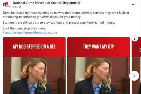 In bad taste? National Crime Prevention Council removes Amber Heard meme