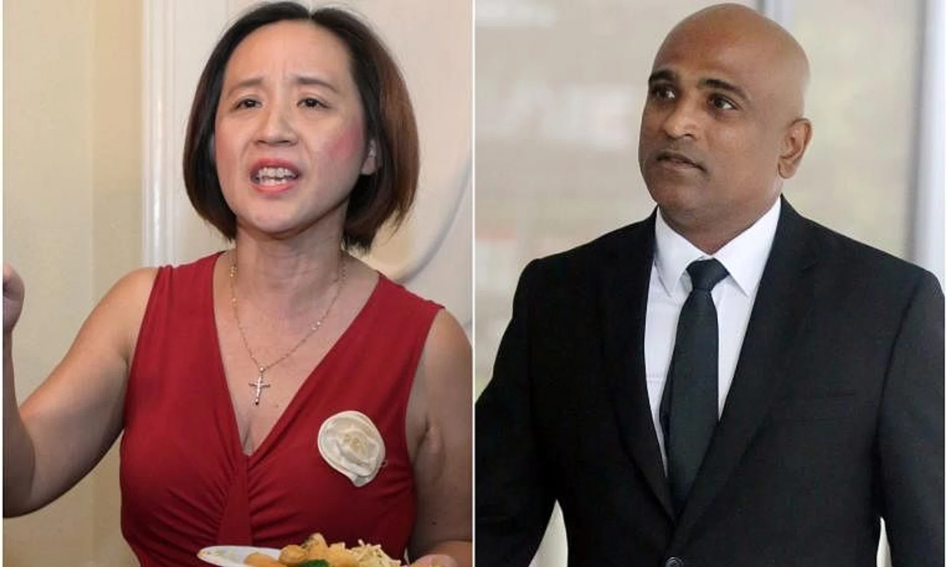 Anti-vaccine group Healing the Divide's Iris Koh and suspended lawyer Ravi Madasamy had repeatedly published election advertising material online during the cooling-off period of the election.