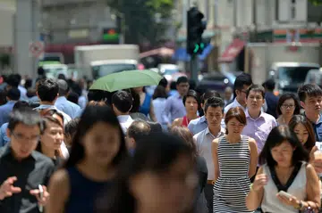 Job market in 2016 was the worst in years