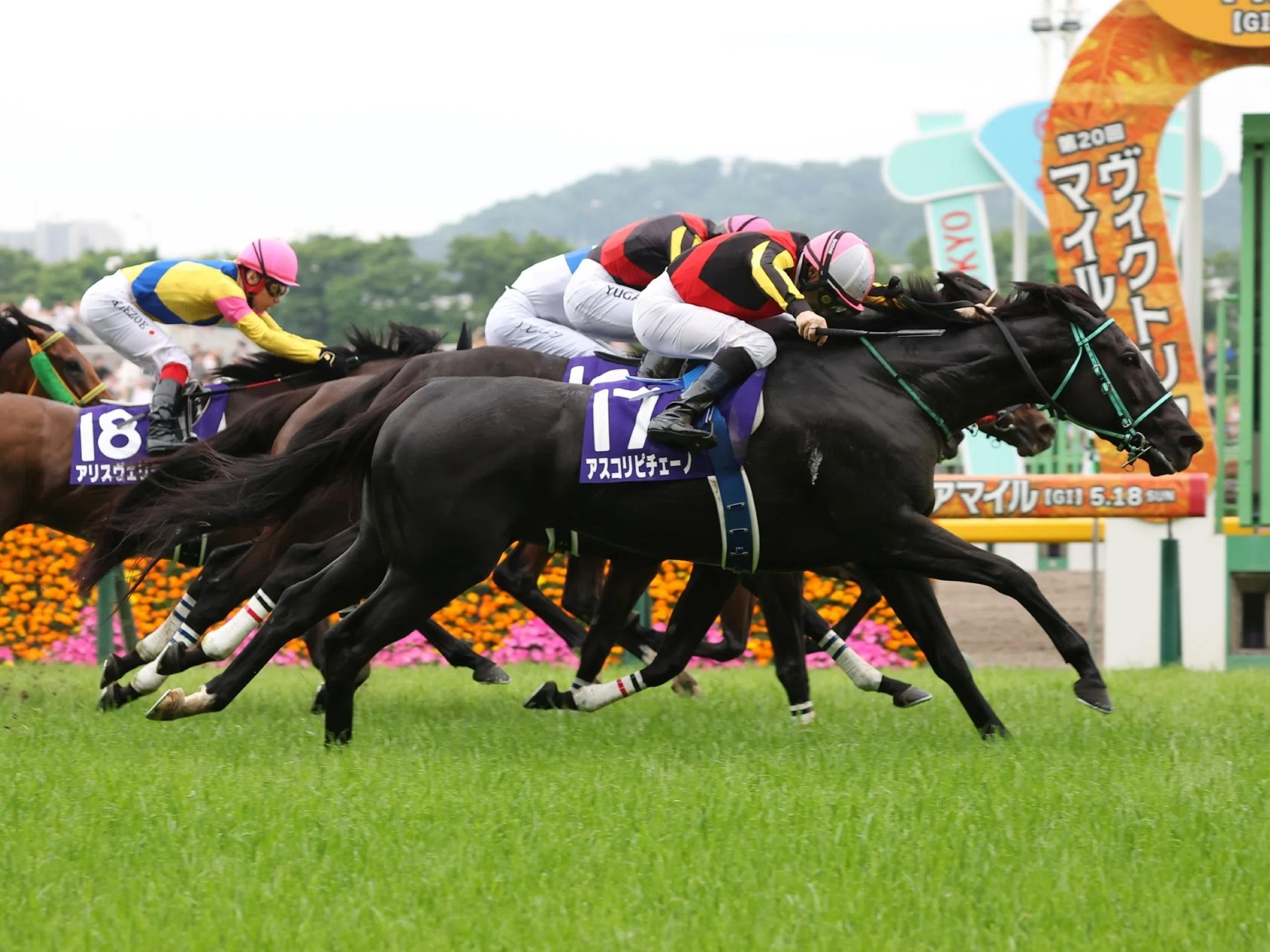Ascoli Piceno (Christophe Lemaire) lunging late on the outside to defeat Sunday Racing stablemate Queen's Walk (Yuga Kawada) by a neck in the Grade 1 Victoria Mile (1,600m) in Tokyo on May 18.
