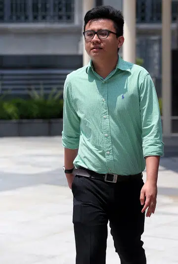 Yang: Anti-Tin Pei Ling Facebook page inspired website