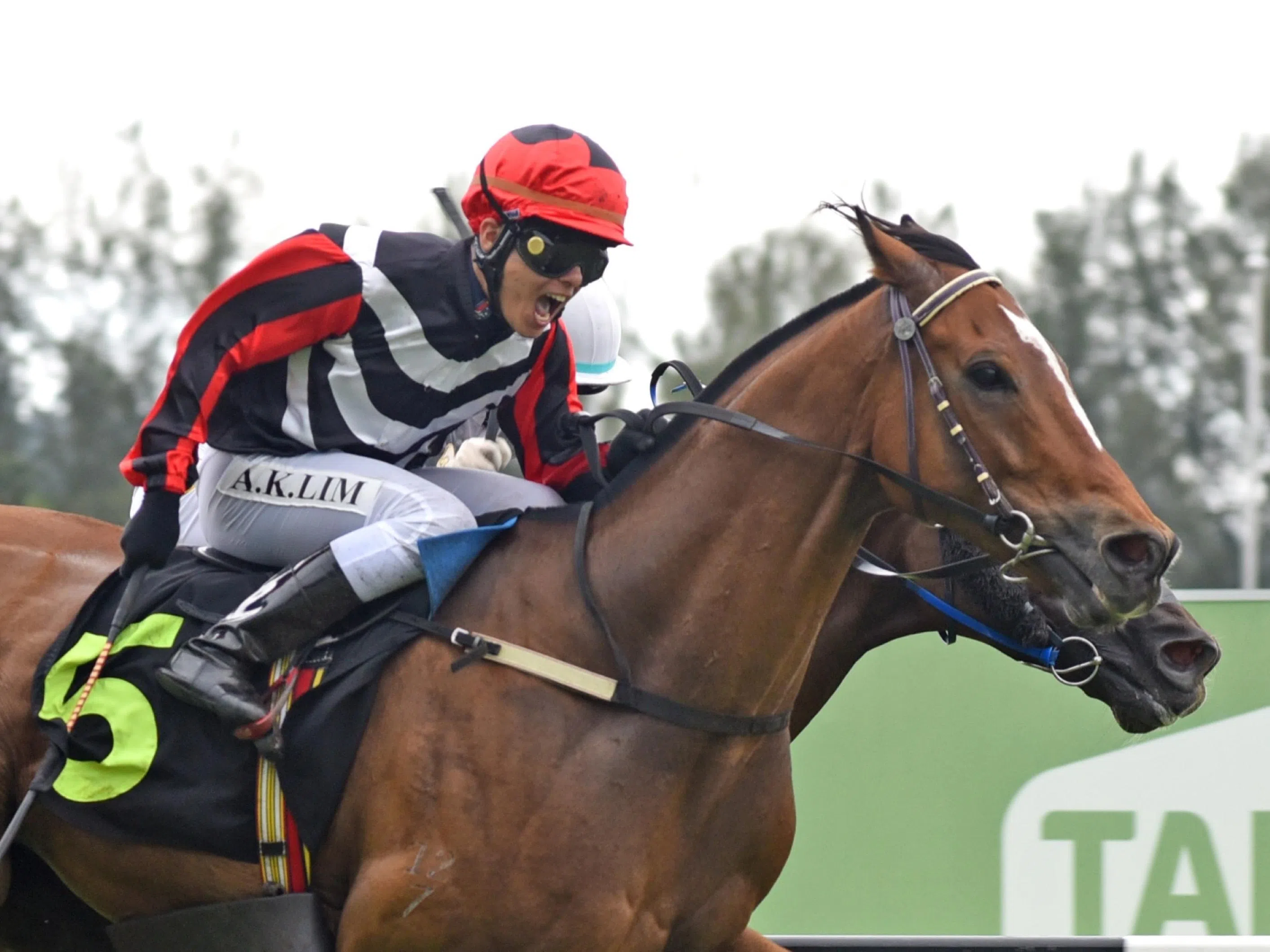 Daylight shines in Class 3 sprint