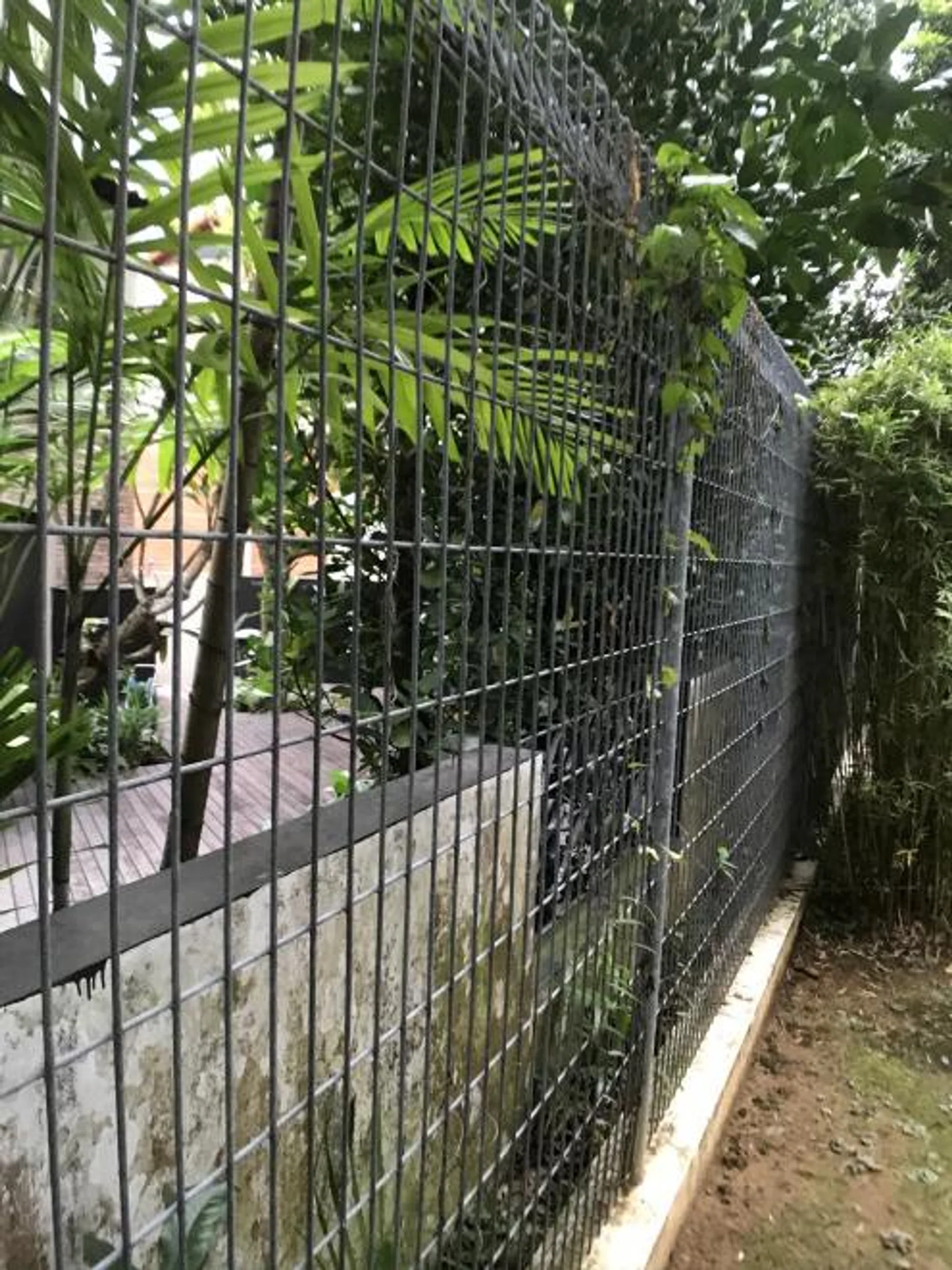 The teenager is believed to have scaled the metal fence to enter the house. 