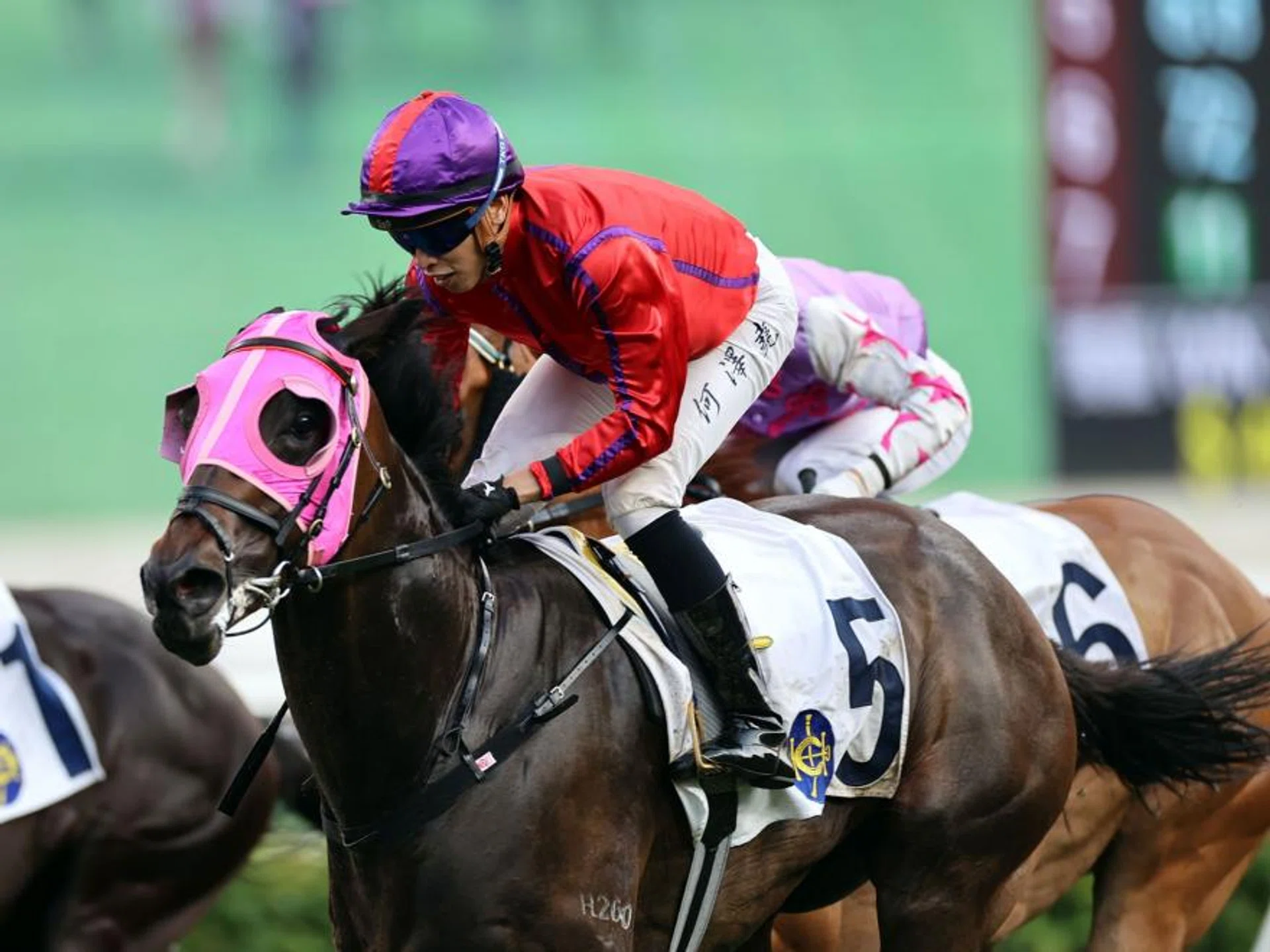 Jockey Vincent Ho sealing a double aboard the Francis Lui-trained Holy Lake at Sha Tin on April 14. Ho had also booted home Baby Crystal for Lui.
