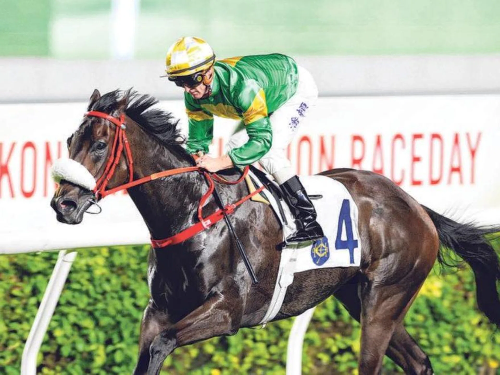 Bottomuptogether (Zac Purton) making it three in a row last season. He looks set to win in the last race.
