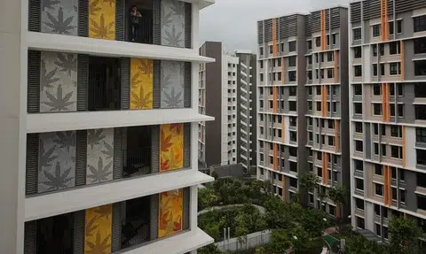 HDB says leaf motif in Bidadari inspired by Japanese maple; some netizens thought it was cannabis