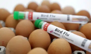 Two-year-old Cambodian girl dies from bird flu
