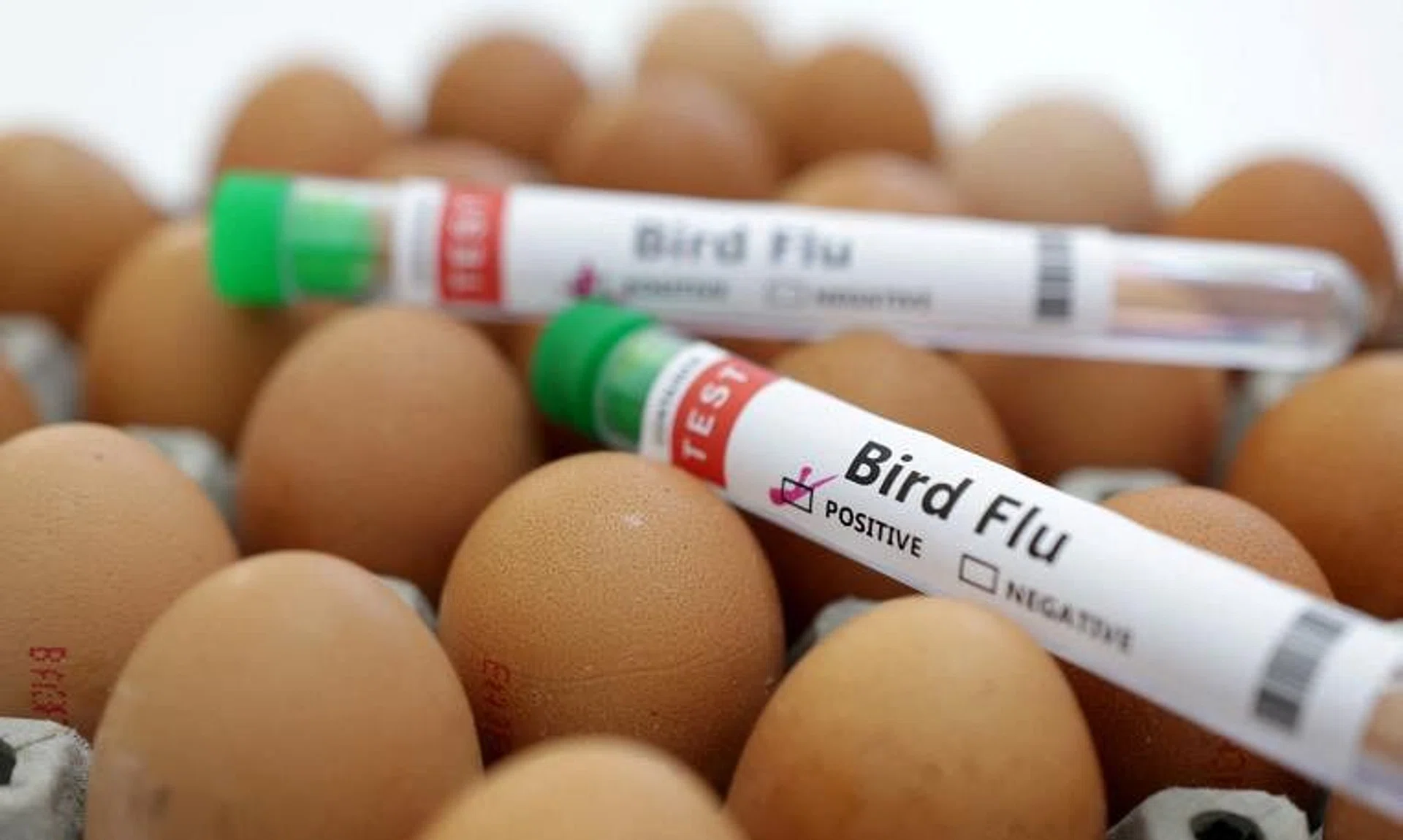 The death of the two-year-old girl from bird flu is the third confirmed case in Cambodia in 2023 so far.