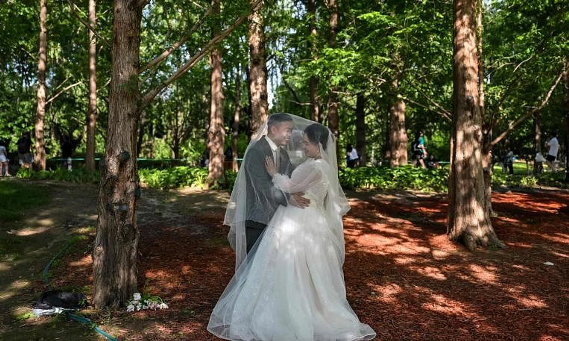 Marriage rates hit a record low in 2022 at 6.8 million, the lowest since 1986, according to government data released in June.