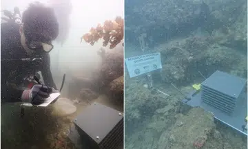 42 'mini-hotels' installed to study lesser-known coral reef creatures
