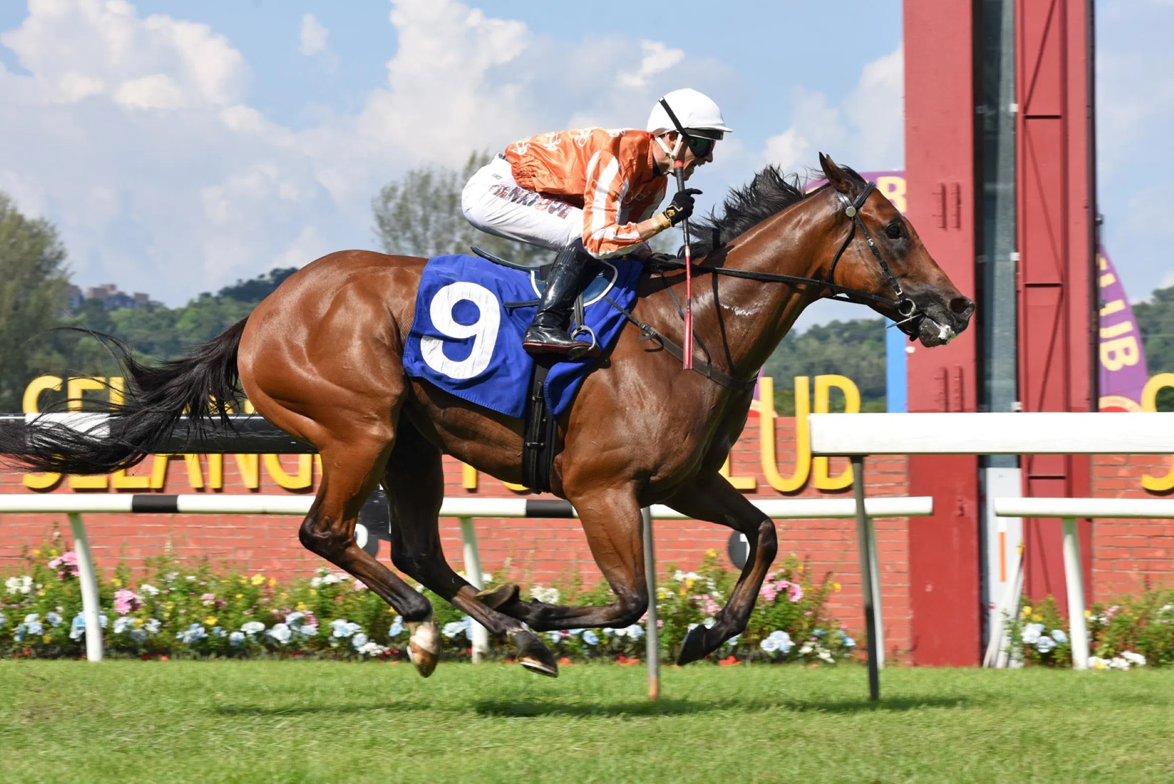 Pacific Vampire gets 1st Malaysia win