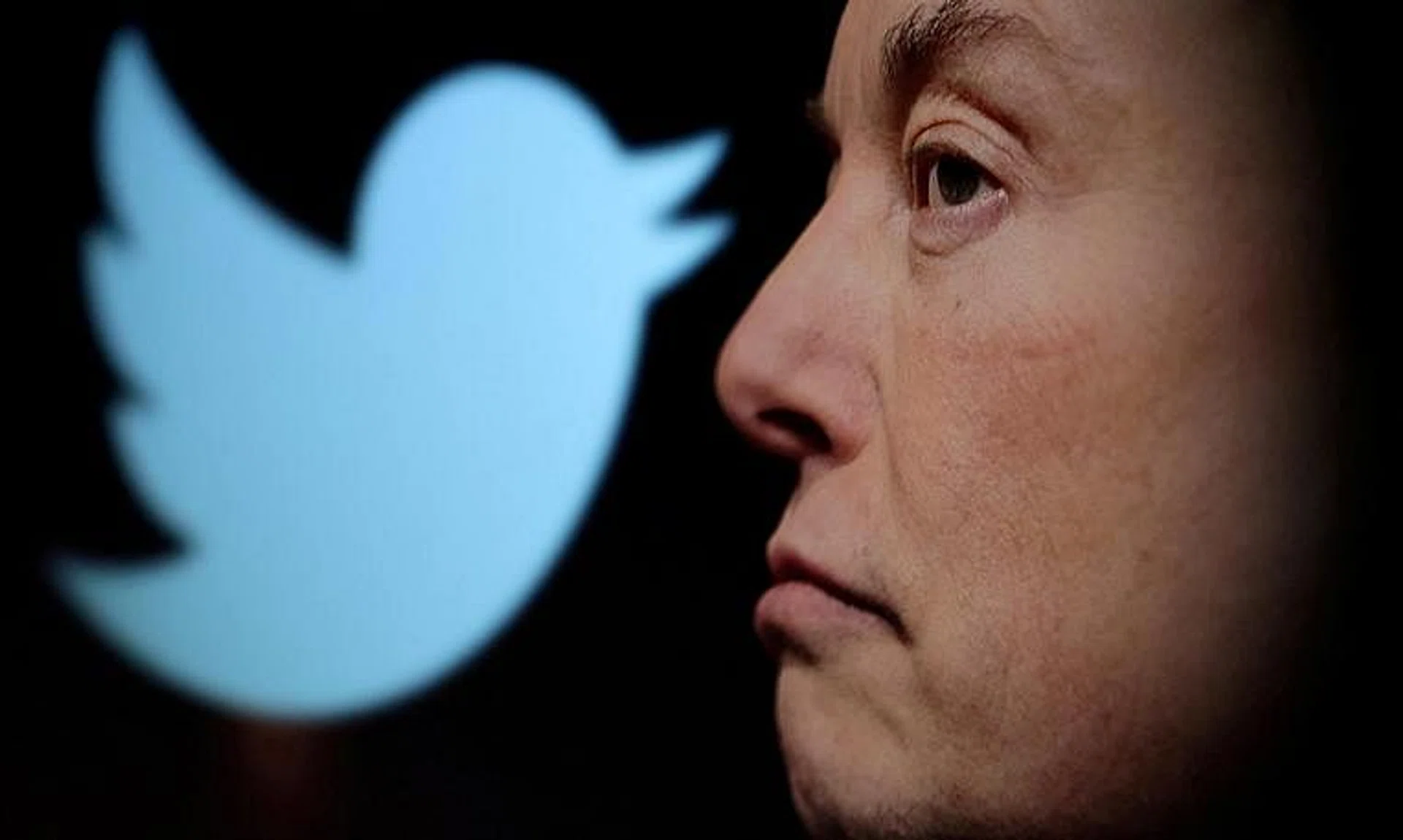 Twitter’s new owner Elon Musk described his actions as a “revolution against online censorship in America”.