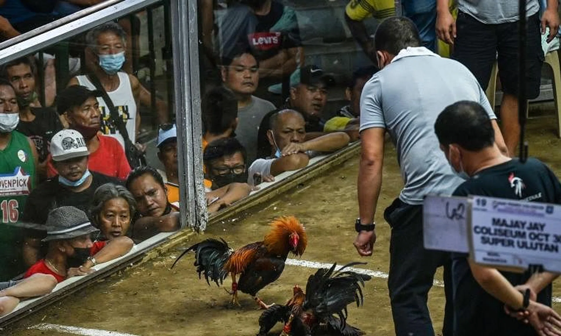 In this file photo taken on Aug 26, 2022, people watch a cockfighting match at the San Pedro Coliseum in Laguna province in the Philippines.