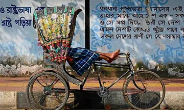Fading colours: Bangladesh's threatened rickshaw art
