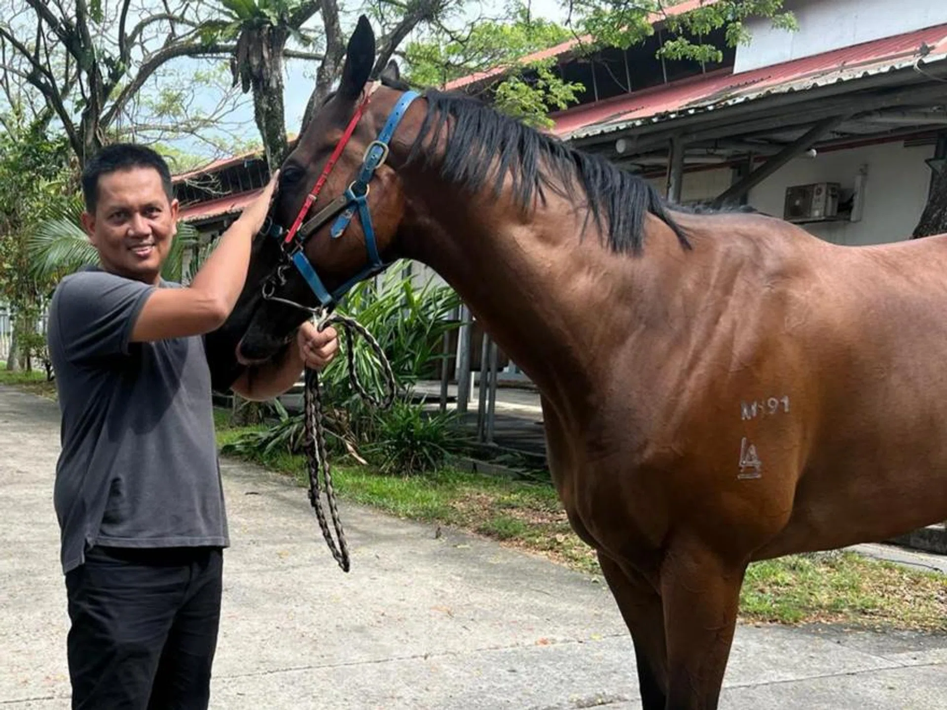Trainer Mahadi Taib patting Nimbus Star, his main hope (Race 10) among his eight runners at Kranji on April 13.
