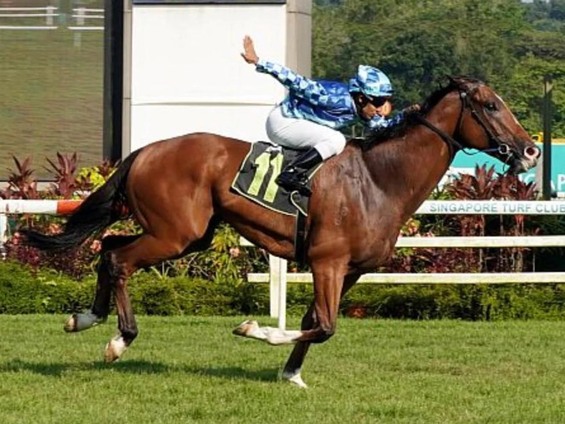 Dream Alliance (Bruno Queiroz) scoring the last of his four wins in a Class 2 race over 1,400m at Kranji on Oct 14, 2023.
