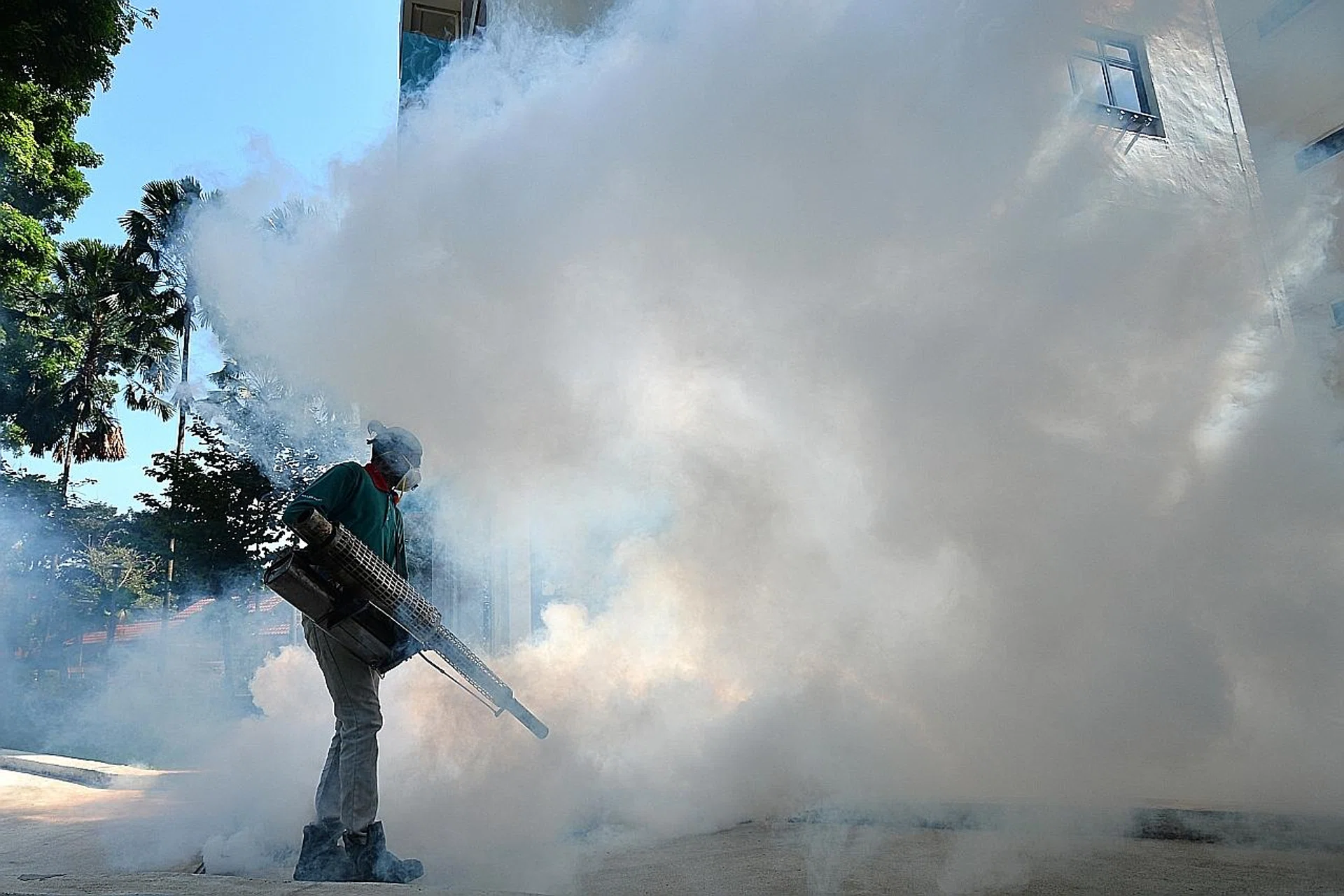 Fogging is effective only if the chemicals coming into direct contact with the mosquitoes. 