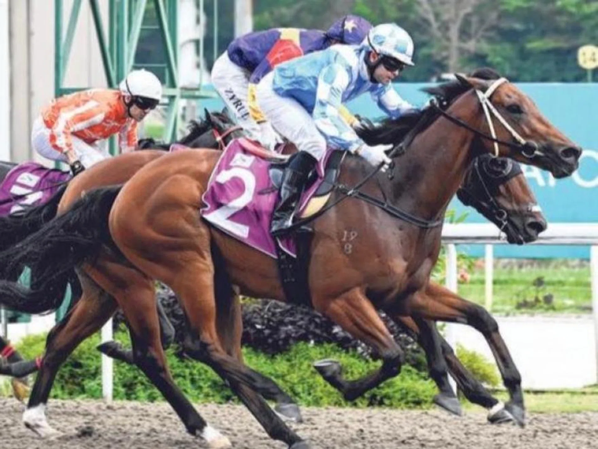 Super Salute (Manoel Nunes) claiming the Group 3 New Year Cup (1,200m) on Jan 6, 2024. One year on, the Group staple tries to restore some gloss to his fading career with a Malaysian restart that kicks off on Jan 12.