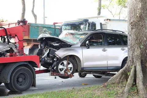 Father apologises on behalf of dead son