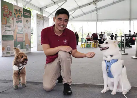 Singapore Veterinary Association president Teo Boon Han said the advisory was a good first step in outreach and education.