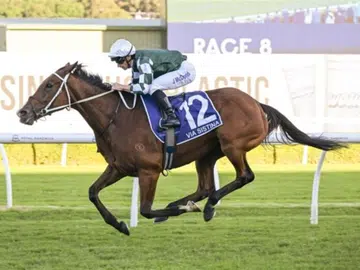 Oct 25 Cox Plate form analysis