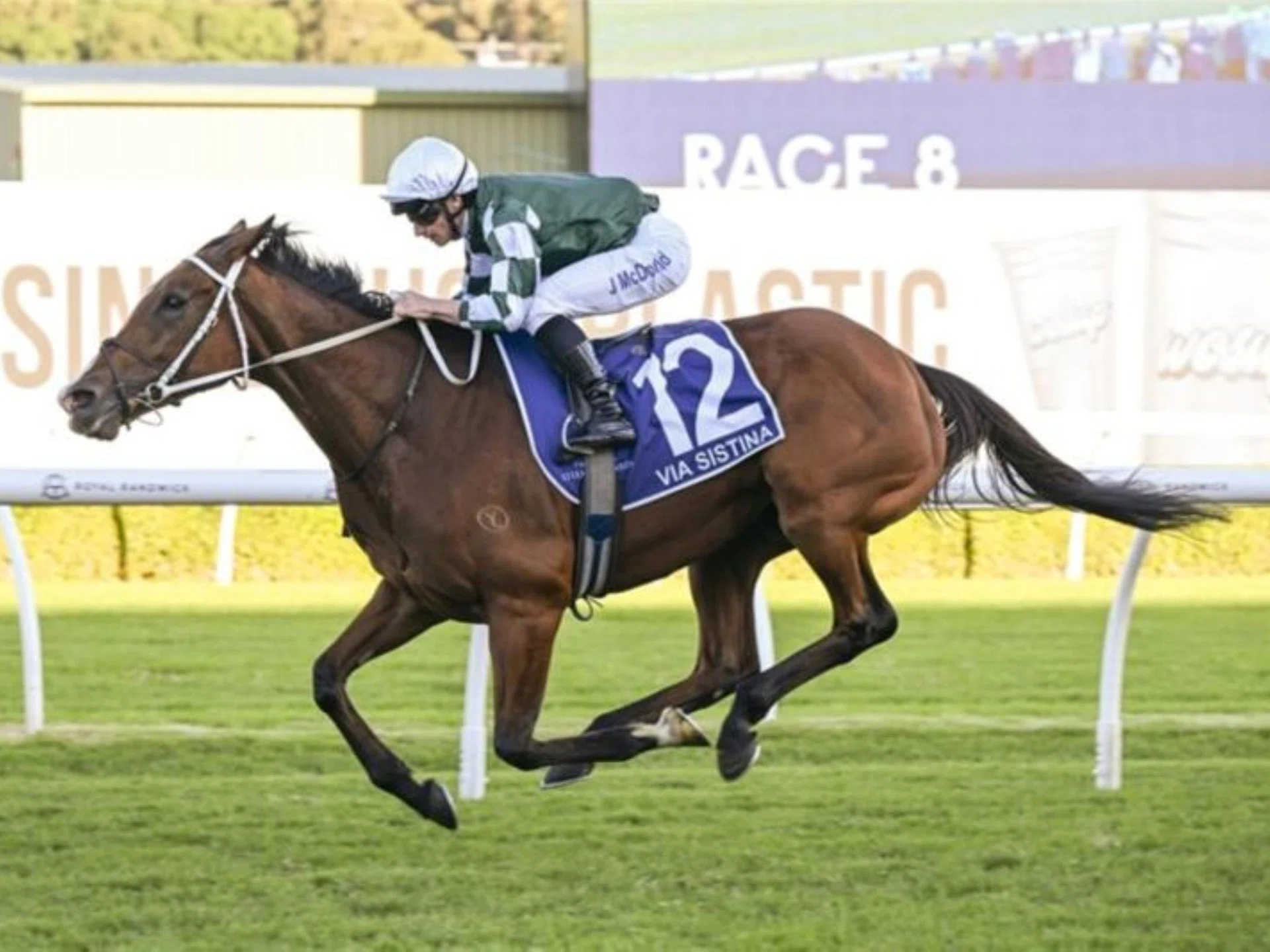 Via Sistina (James McDonald) winning the Group 1 Queen Elizabeth Stakes (2,000m) at Randwick on April 12.