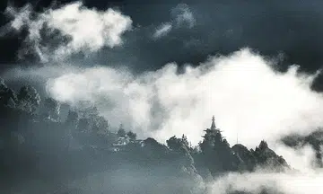 Moving images of a photographer no longer able to hold a camera