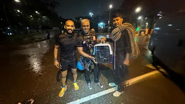 Friends rescue kitten in Bedok Reservoir storm drain during heavy rain