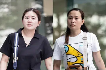 Two women jailed for using forged university certificates in work pass applications