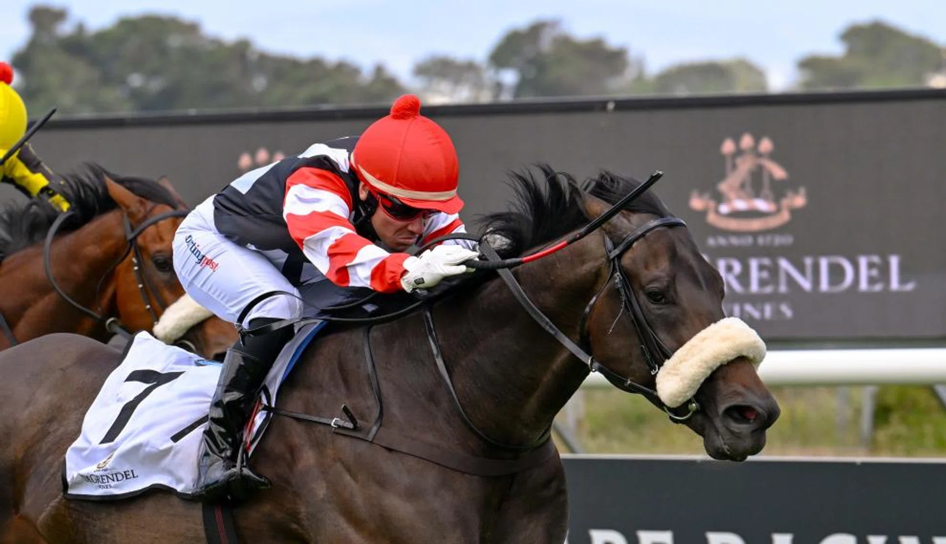 Outlaw King (Sean Veale) sprinting away at Hollywoodbets Kenilworth to hand trainer Dean Kannemeyer a third successive win in the Grade 2 De Grendel Cape Merchants (1,200m) on Dec 22.