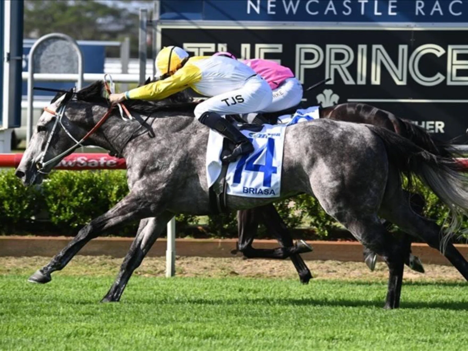 Briasa winning the Group 2 The Hunter (1,300m) in Newcastle on Nov 16. He was ridden by Tyler Schiller, who won one race on Always Together at Kranji on Singapore Derby day on July 21.
