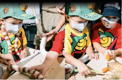 Myolie Wu's son celebrates birthday with creepy crawlies