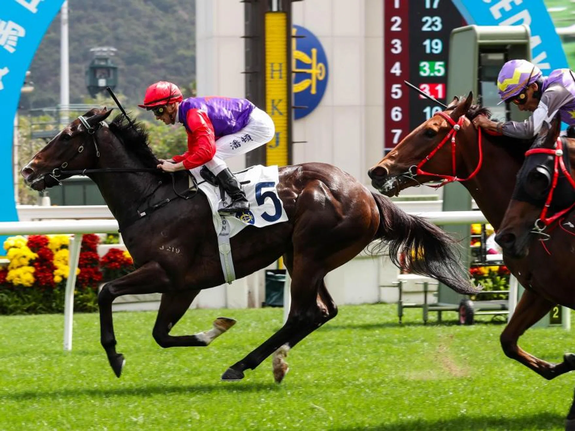 Chateauneuf, owned by Singaporean billionaire businessman and chairman of Hong Kong property development conglomerate Sino Group Robert Ng, can follow up on his Feb 18 debut success in Race 3 on March 16.
