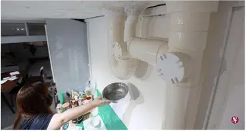 Bedok resident experiences 'rain' at home when neighbour above takes a shower