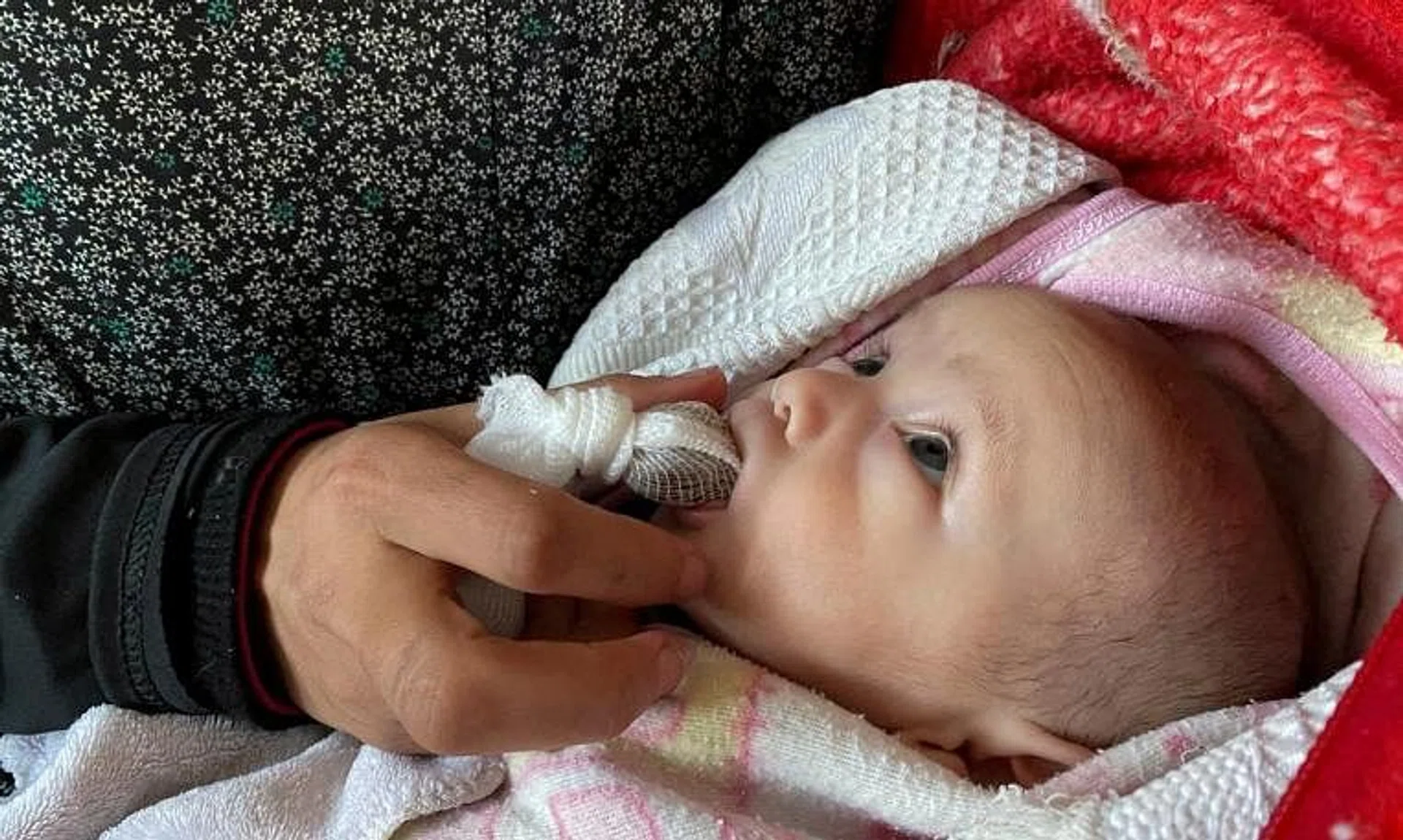 Palestinian woman Warda Mattar feeds her newborn dates, instead of milk, amidst food scarcity and lack of milk, at a school where they shelter in Nuseirat in the central Gaza Strip February 25, 2024. REUTERS/Doaa Ruqqa