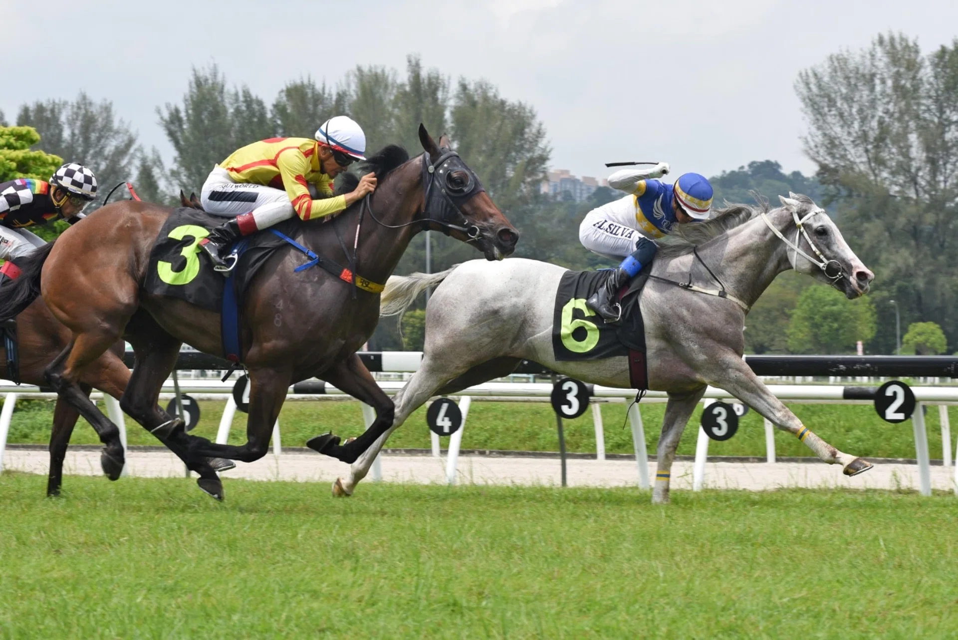 Northern Star (Andre da Silva) beating Outfit (Shafiq Rizuan) in a driving finish in the Class 4B race (1,020m) at Sungai Besi on May 3. The Winson Cheng-trained galloper worked a treat on Aug 12.