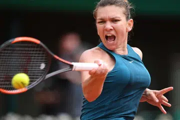 Halep will thrive away from spotlight: Wilander