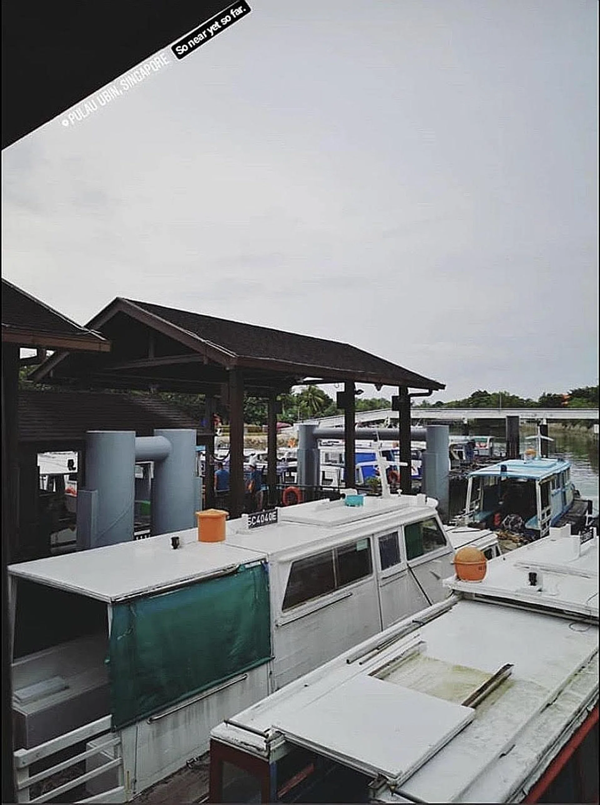 Mr Aloysius Pang's ashes were scattered in the waters off Pulau Ubin.