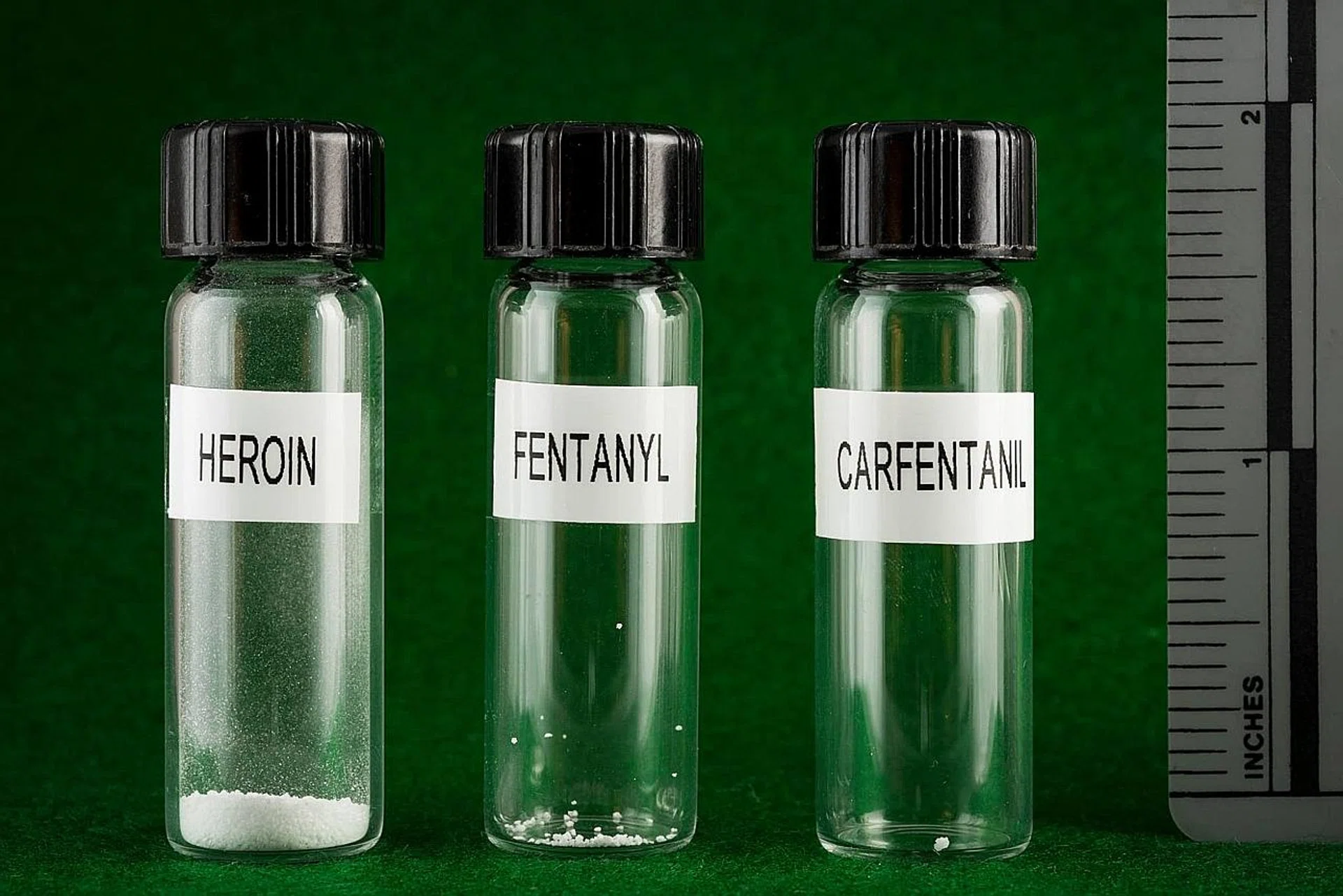 The relative amounts of heroin, fentanyl and carfentanyl you need to take to overdose. 