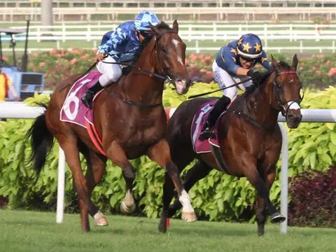 Kosi's back to rule again