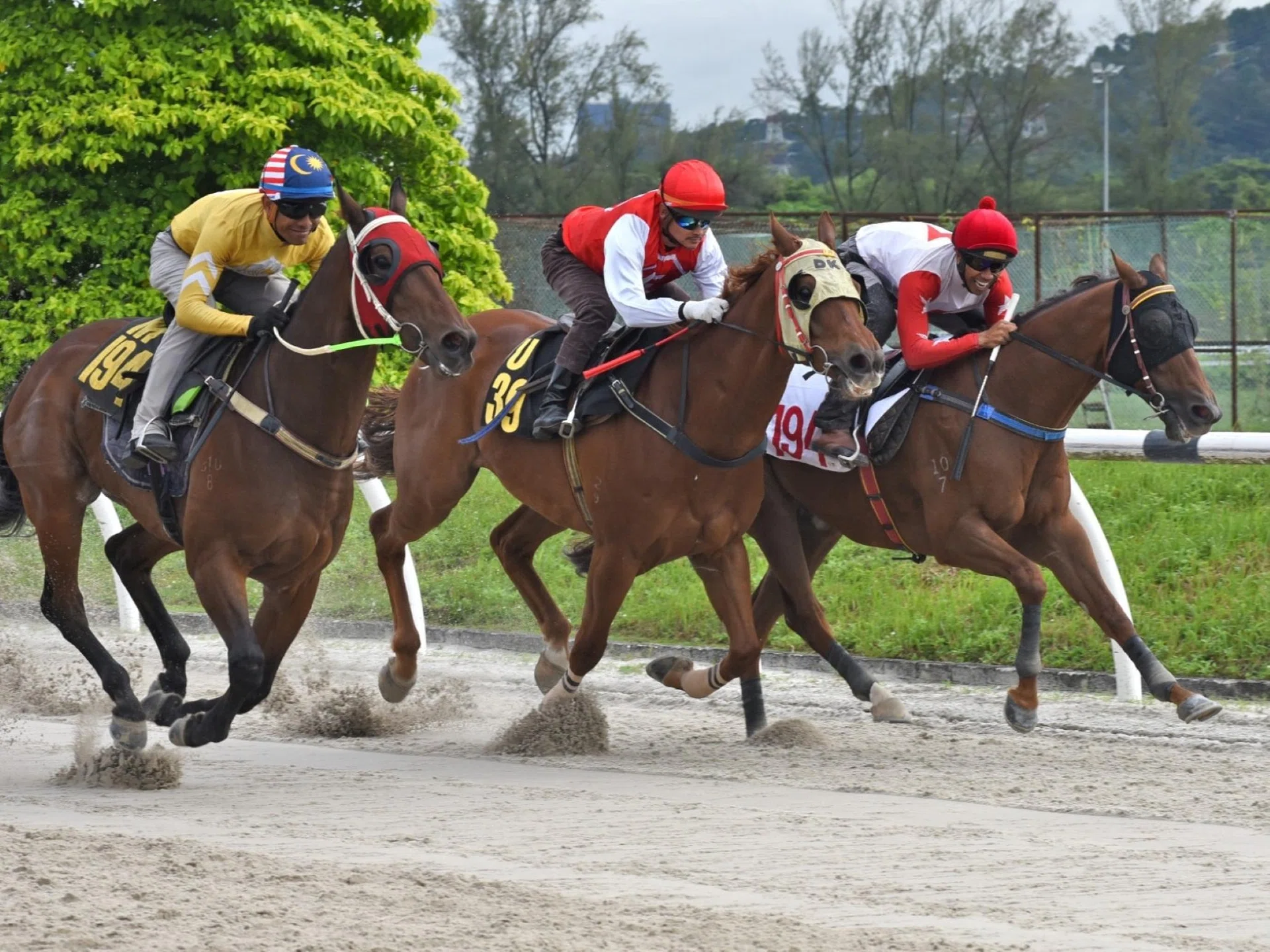 The second Kuala Lumpur barrier trial on Oct 22 sees a three-way go where Noah Khan (Aify Yahaha, outside) finishes a shade better than Elliot Ness (Khairil Zulkiflee, inside) and Pacific Atlantic (Benny Woodworth, middle).