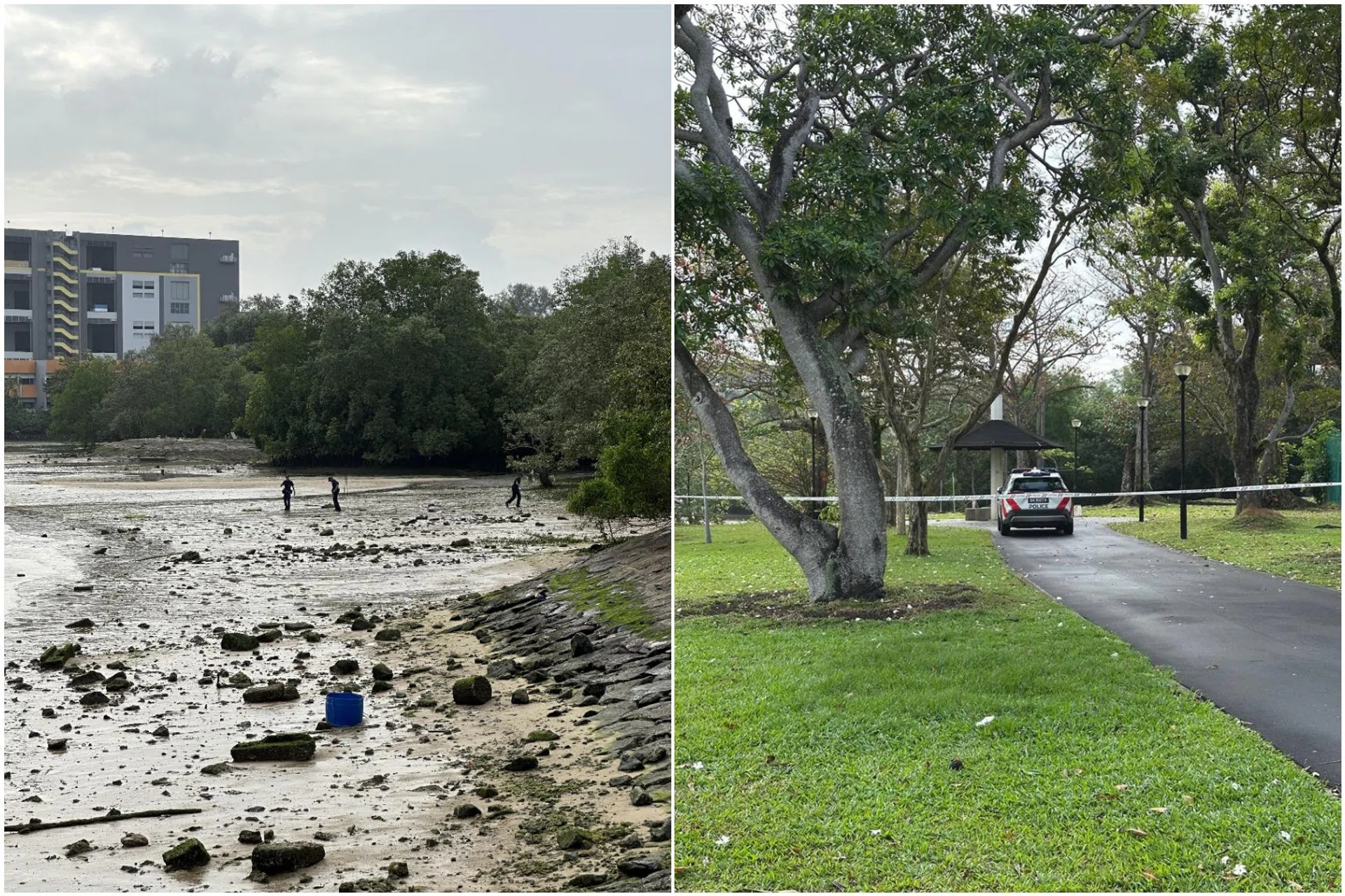 Police received a call for assistance at 8.30am that day, and the body was retrieved.