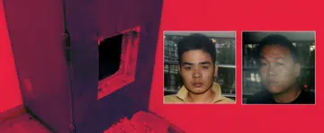 Vietnamese duo jailed for $500k burglary