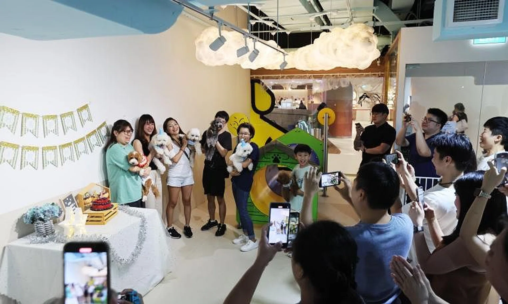 Party guests at Mr Woofles crowded around to sing the maltipoos a birthday song on Nov 4. 