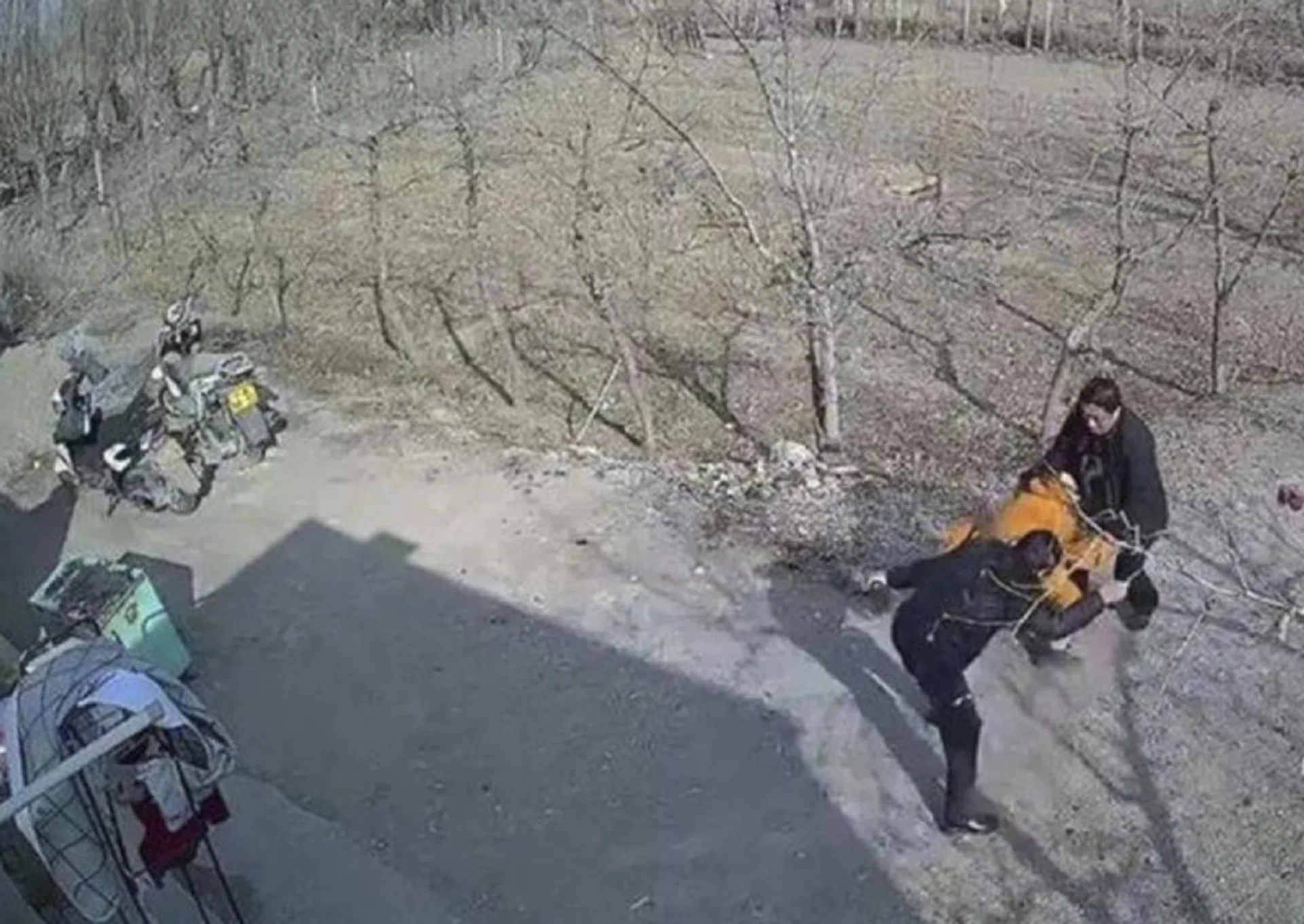 A viral video depicts a woman being dragged from her home by her family. 