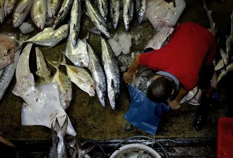 Jurong Fishery Port to undergo redevelopment