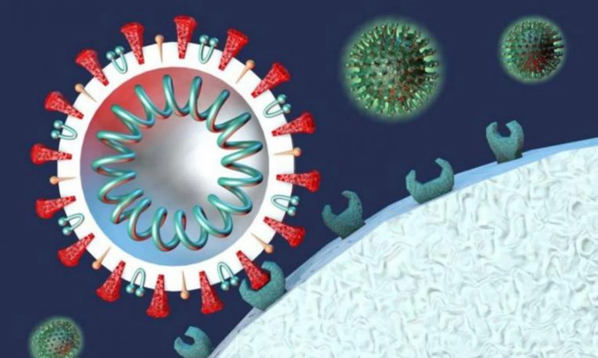 Patients infected with the Omicron variant remain contagious for just as long as patients infected with earlier variants. 