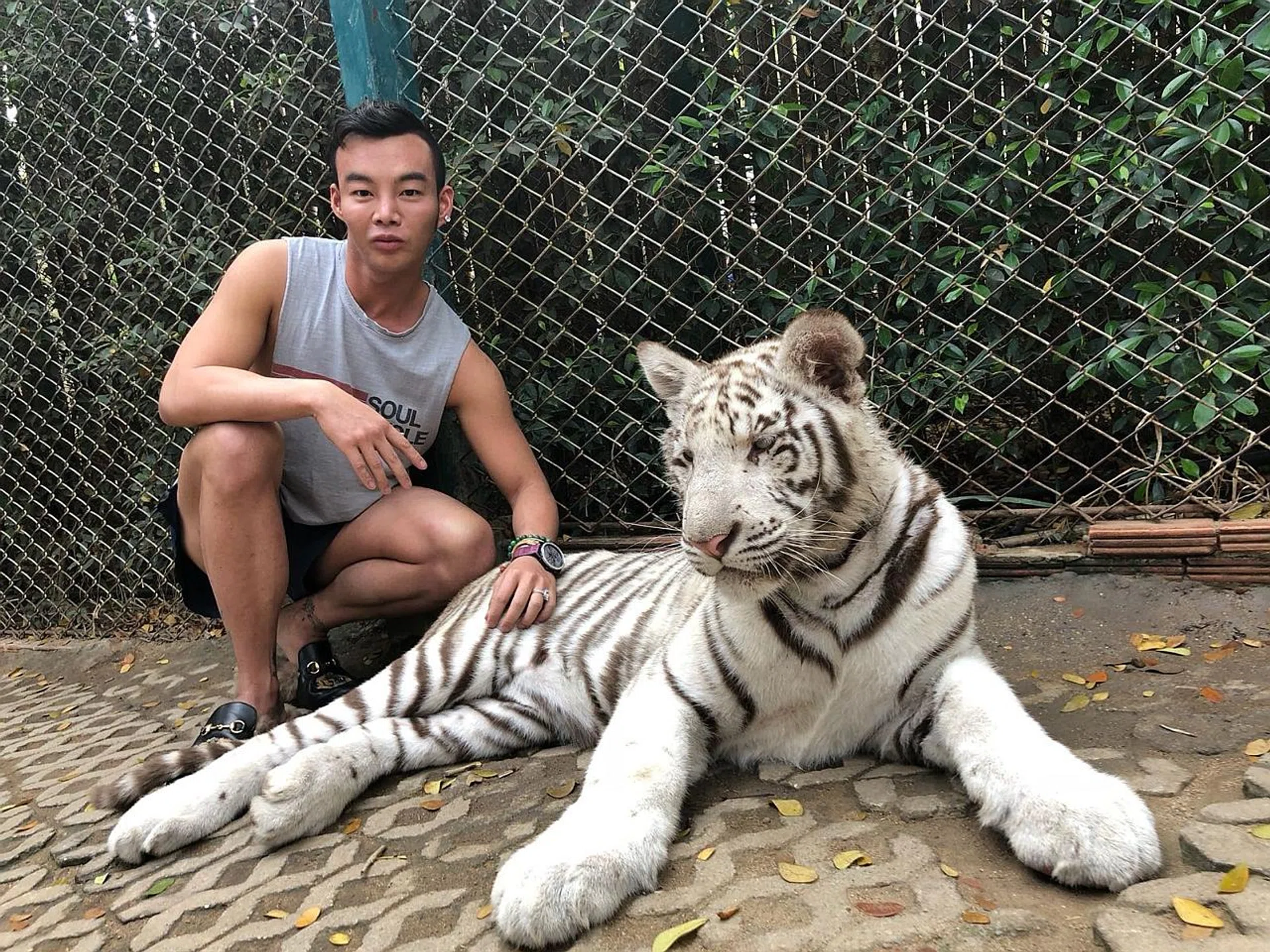 Mr Kane Lim posts pictures of his bags, shoes and lavish lifestyle on his Instagram, where he has 103,000 followers. 